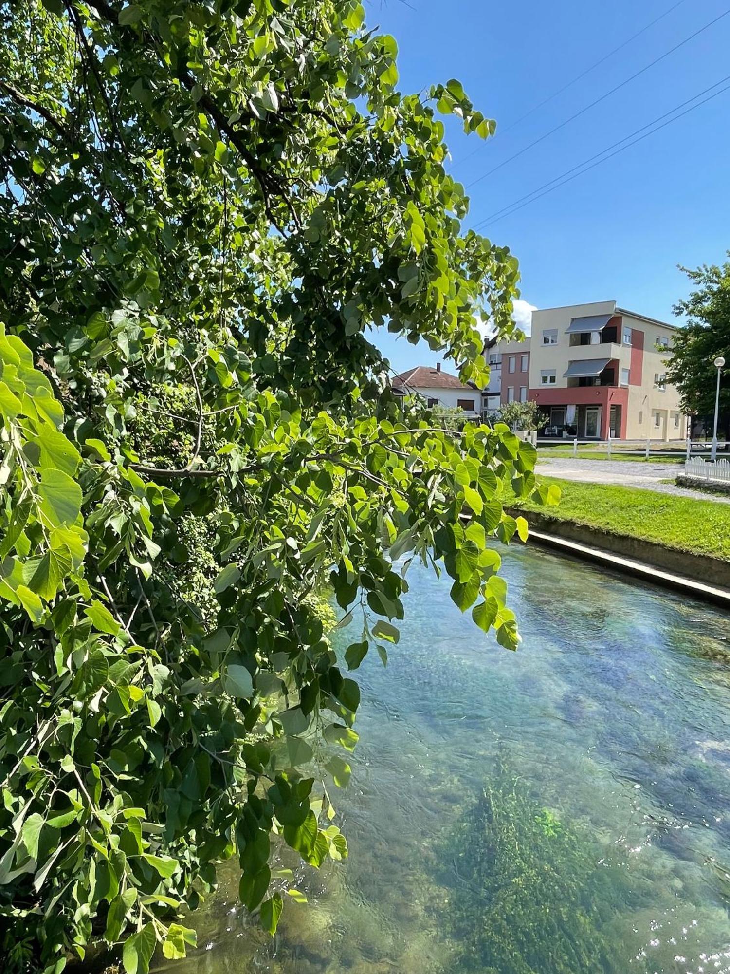 Apartment Vila Tara บีฮัช ภายนอก รูปภาพ